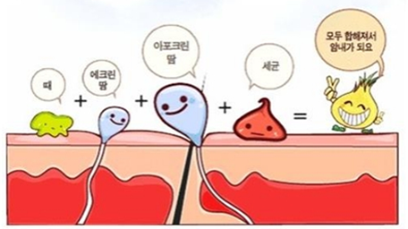 유방조직